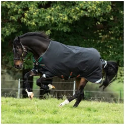 Loesdau Pferdedecken<HORSEWARE Weidedecke RAMBO Original Medium