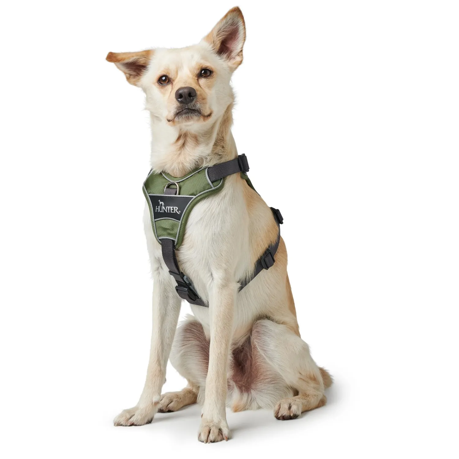 HUNTER Hundegeschirre<Gechirr Divo