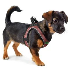 HUNTER Hundegeschirre<Geschirr Hilo Comfort