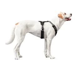 Loesdau Hundegeschirre<HUNTER Geschirr Maldon