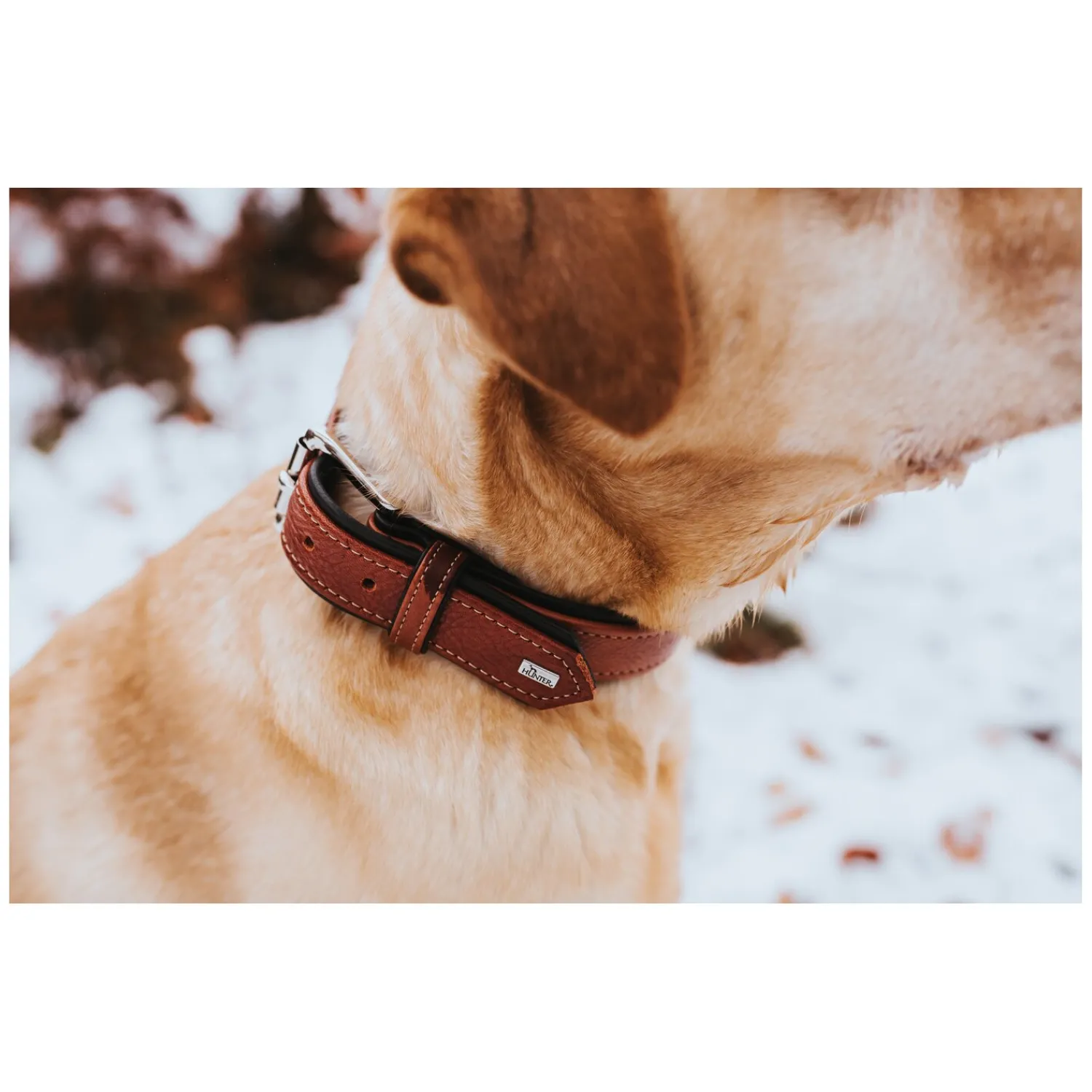 HUNTER Hundehalsbänder<Halsband Canadian Up