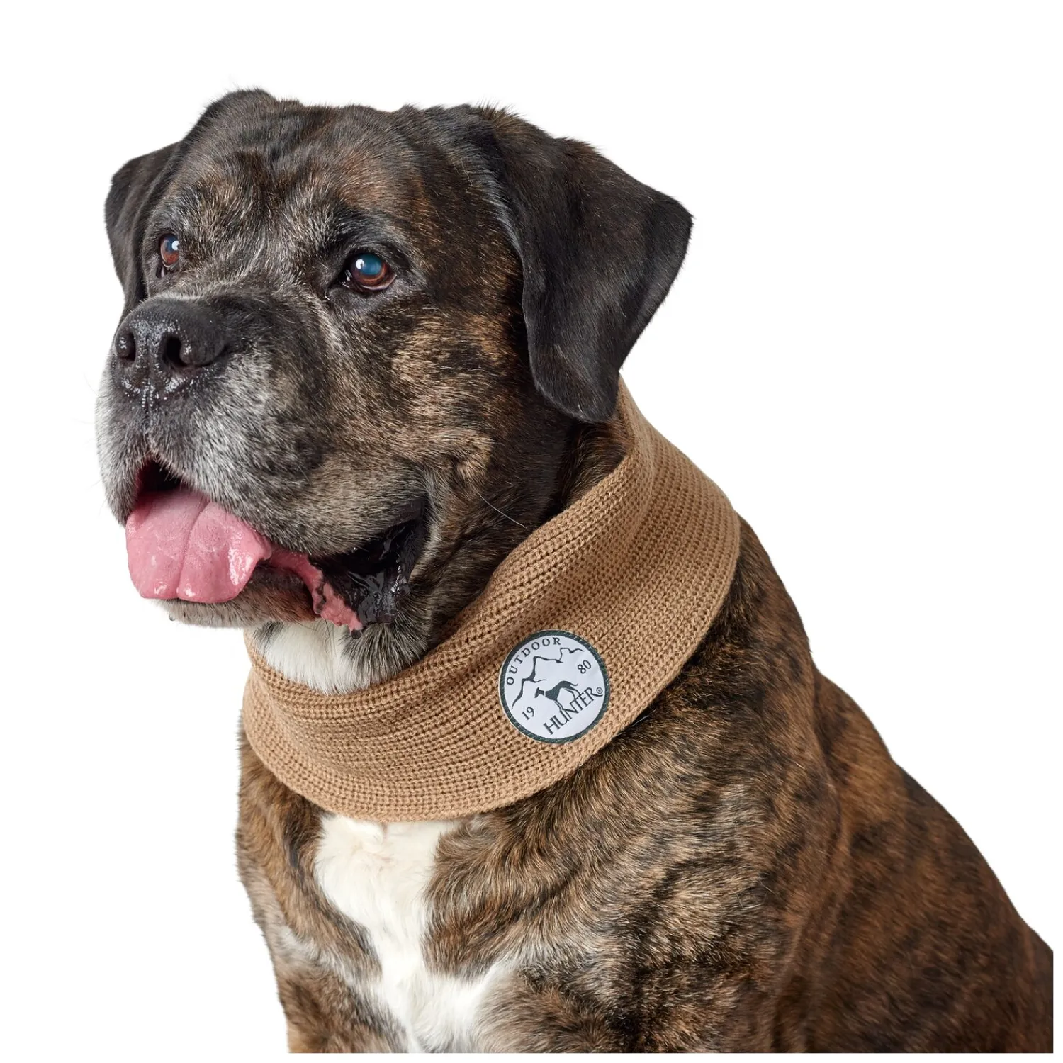 Loesdau Hundehalsbänder<HUNTER Hundeschal Malmö