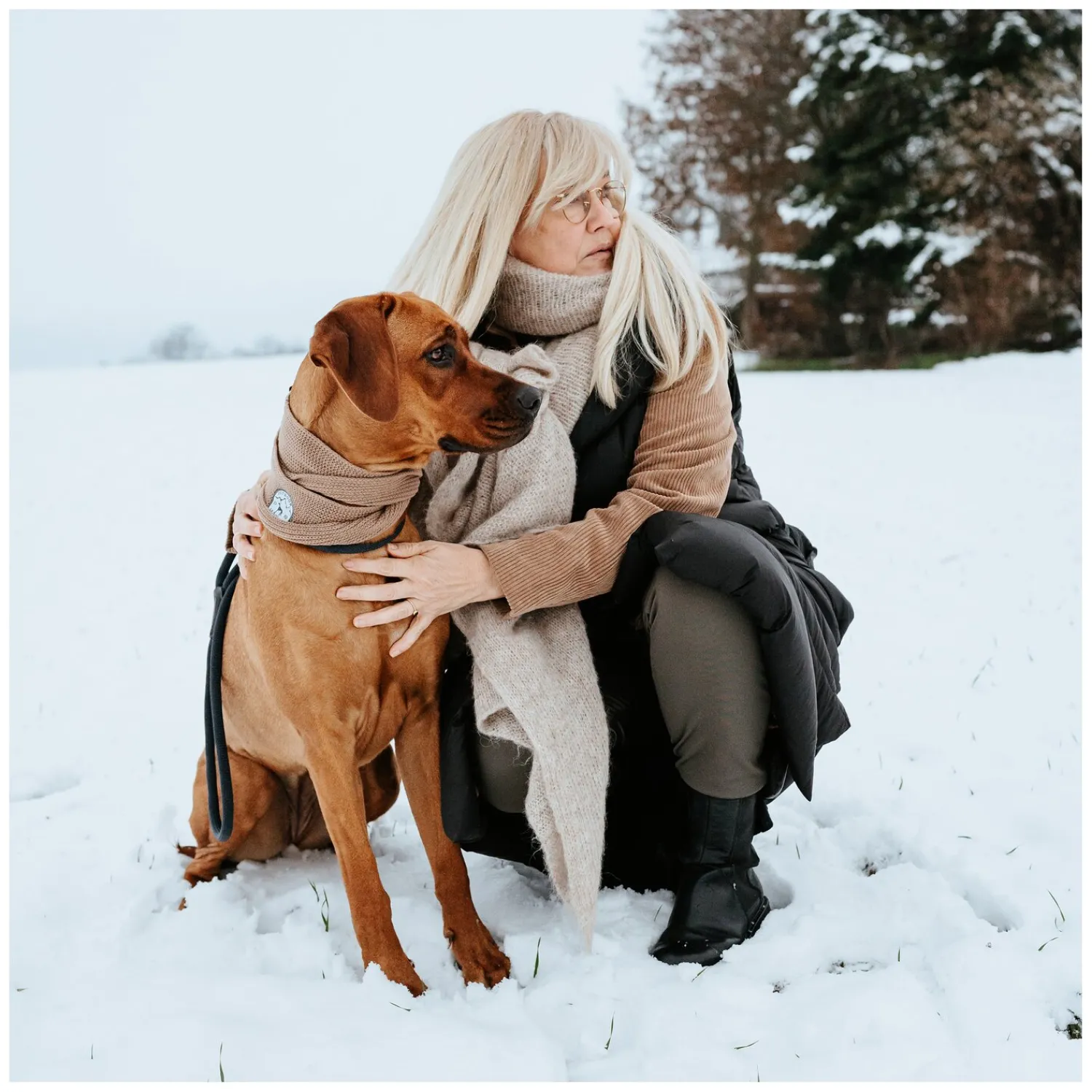 Loesdau Hundehalsbänder<HUNTER Hundeschal Malmö