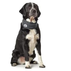 Loesdau Hundehalsbänder<HUNTER Hundeschal Malmö