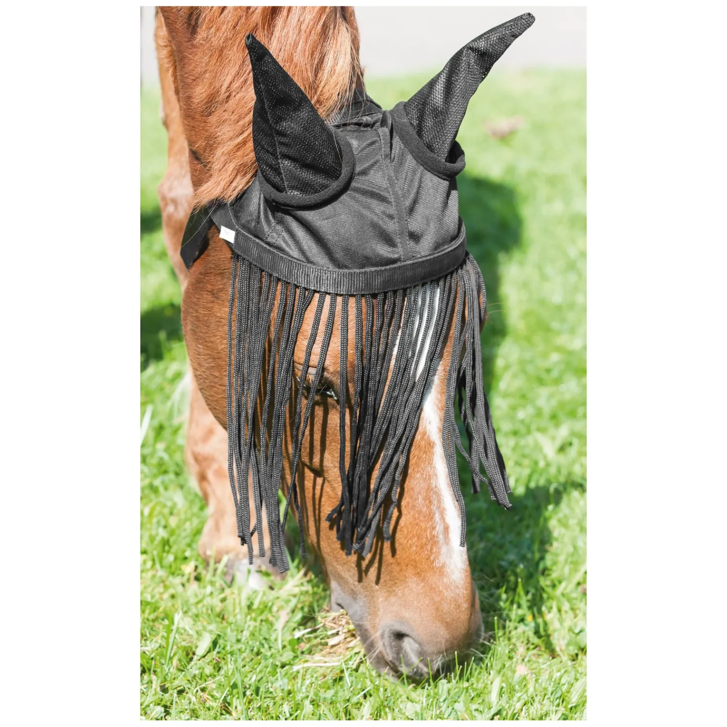 IRISh INNOVATION Fliegenstirnbänder<Fliegenhaube mit Fransenstirnband
