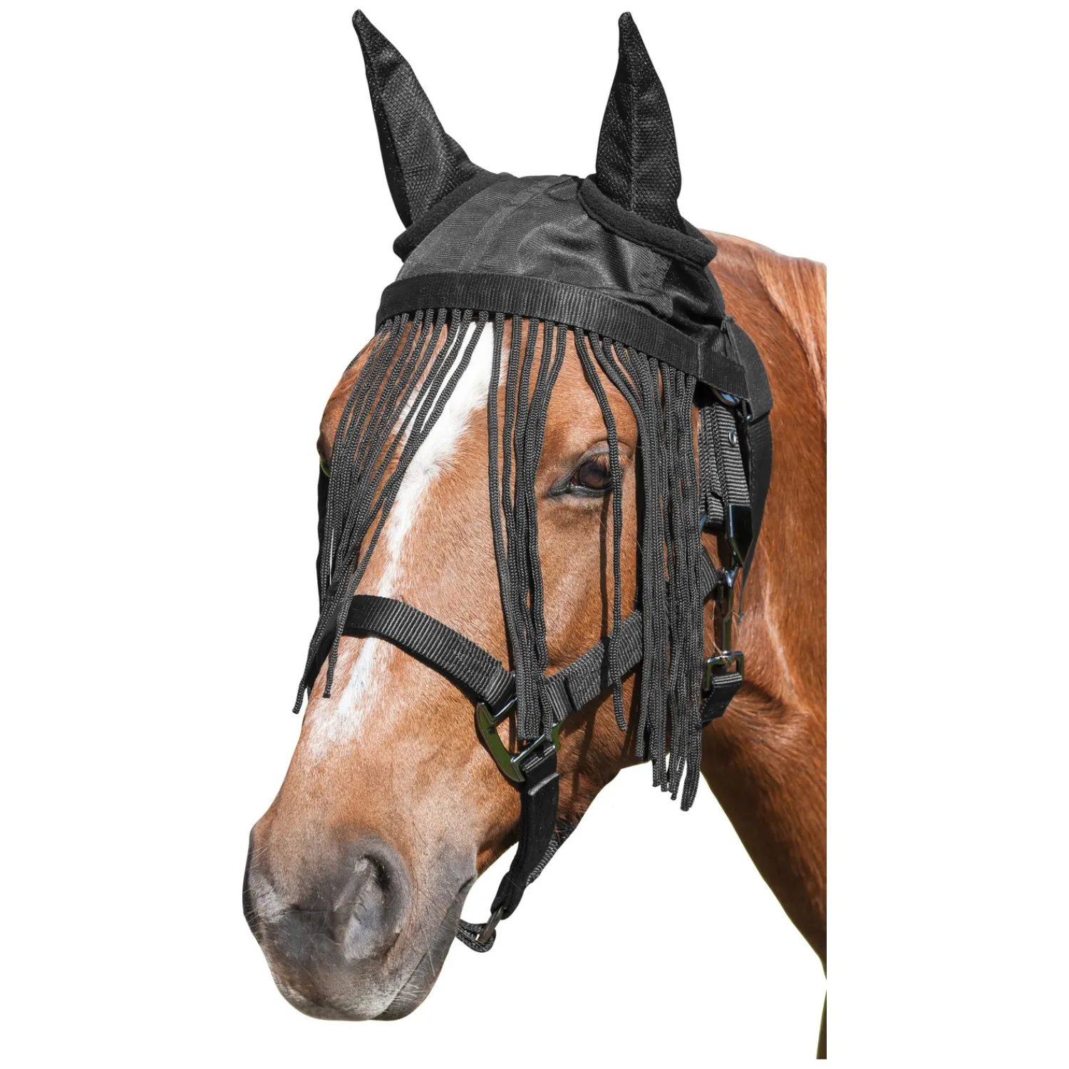 IRISh INNOVATION Fliegenstirnbänder<Fliegenhaube mit Fransenstirnband