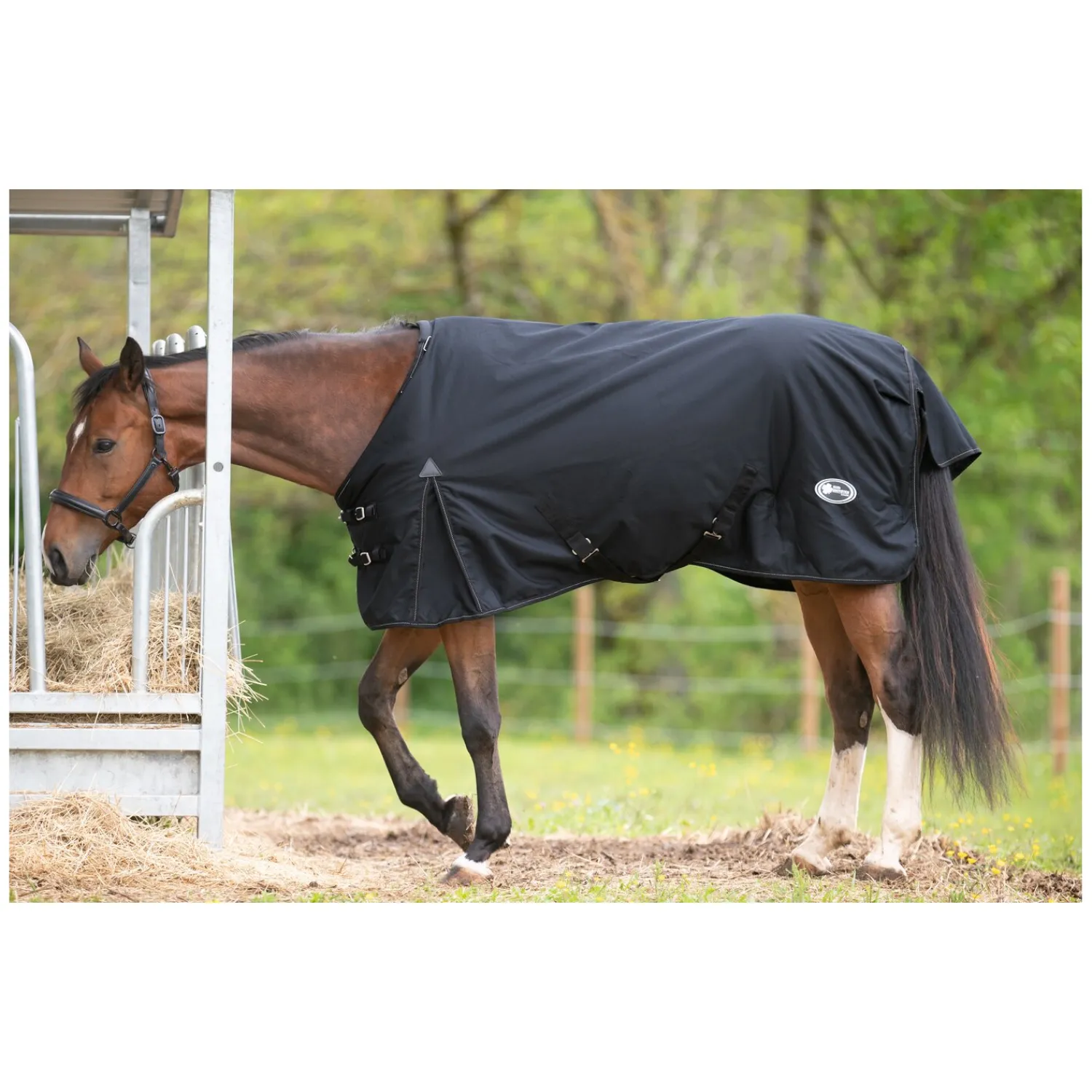 IRISh INNOVATION Pferdedecken<Outdoordecke Charlotte 200 g