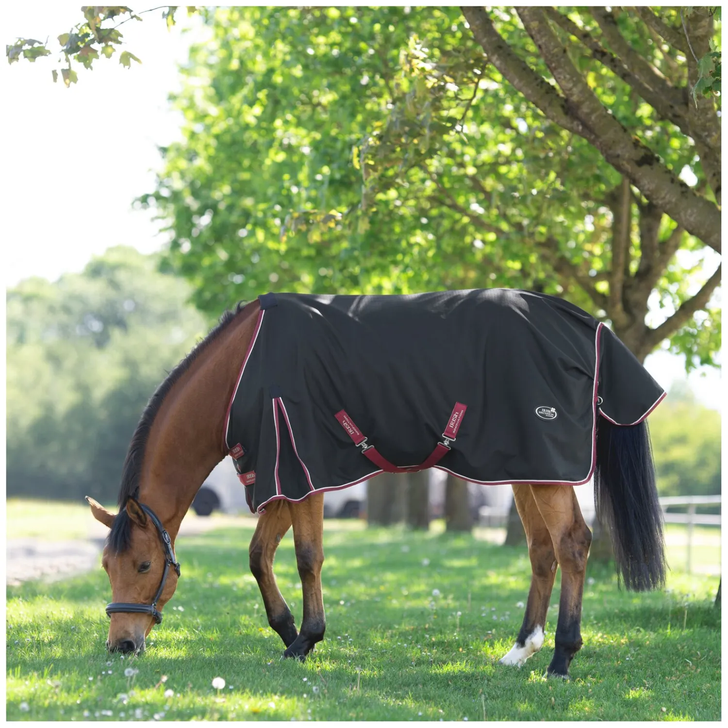 IRISh INNOVATION Pferdedecken<Outdoordecke Rainstormer