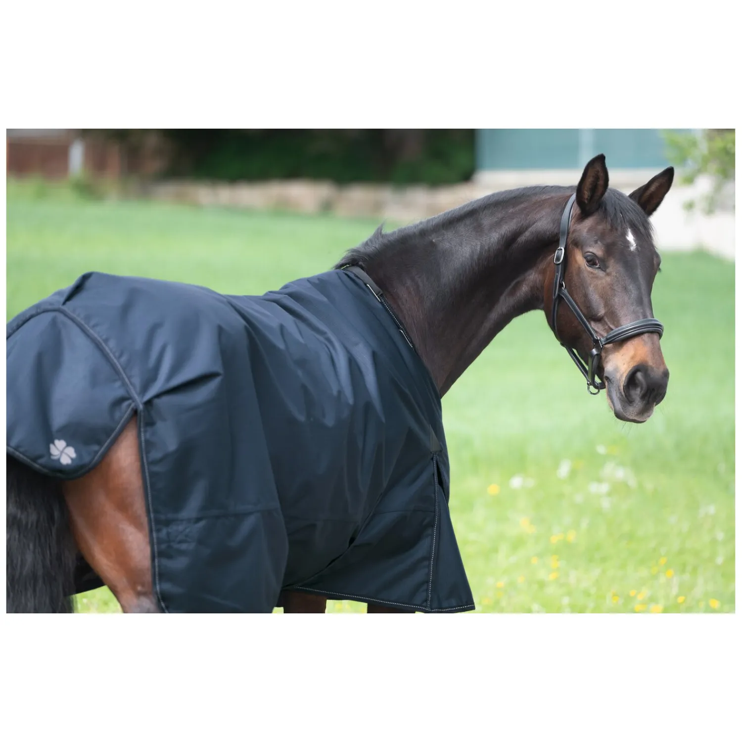 IRISh INNOVATION Pferdedecken<Outdoordecke Charlotte 50 g