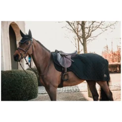 KENTUCKY Pferdedecken<Ausreitdecke 160 g