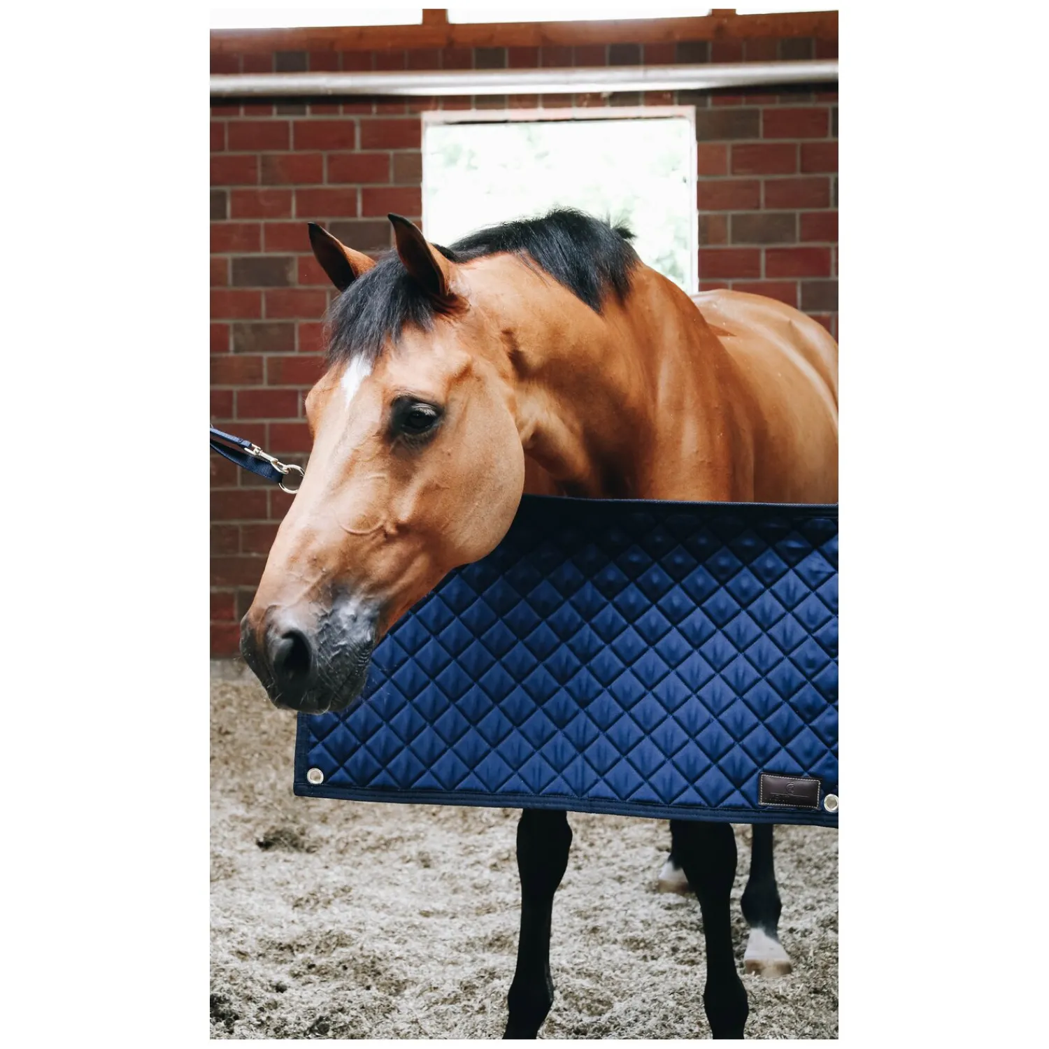 Loesdau Weiteres Stallzubehör<KENTUCKY Boxentürvorhang