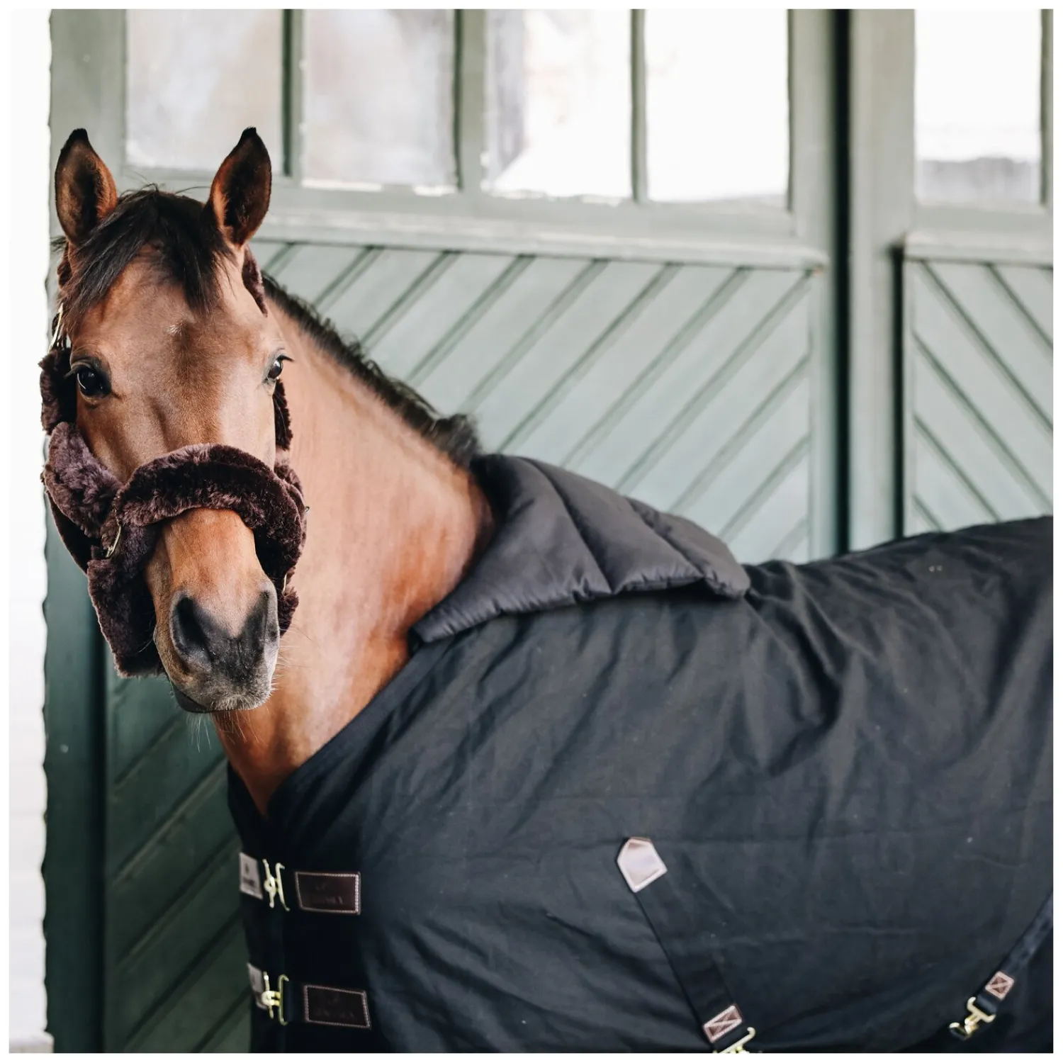 KENTUCKY Deckenzubehör<Brustschutz Horse BIB
