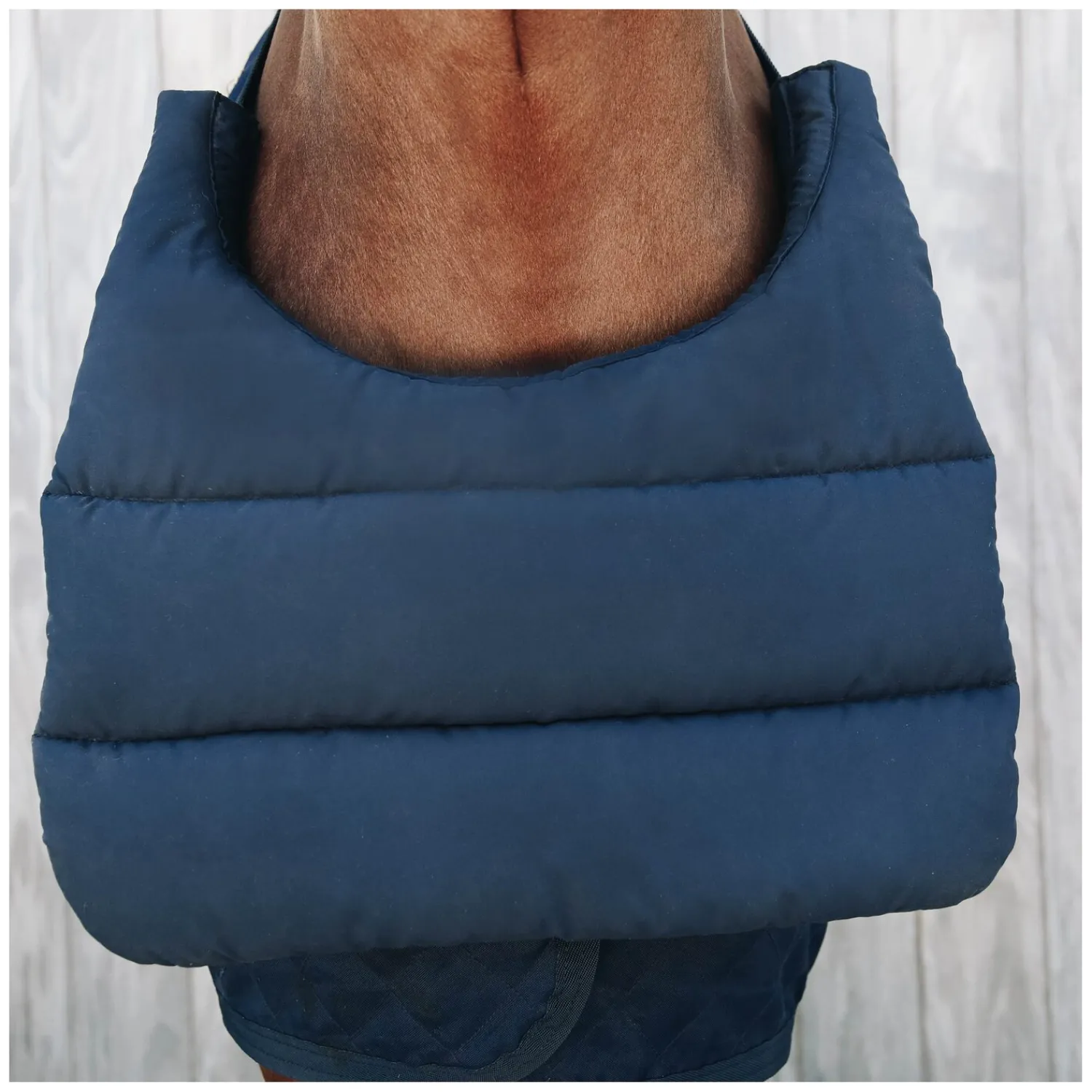 KENTUCKY Deckenzubehör<Brustschutz Horse BIB