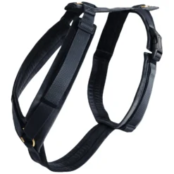 KENTUCKY Dogwear Hundegeschirre<Hundegechirr Activ Vevet