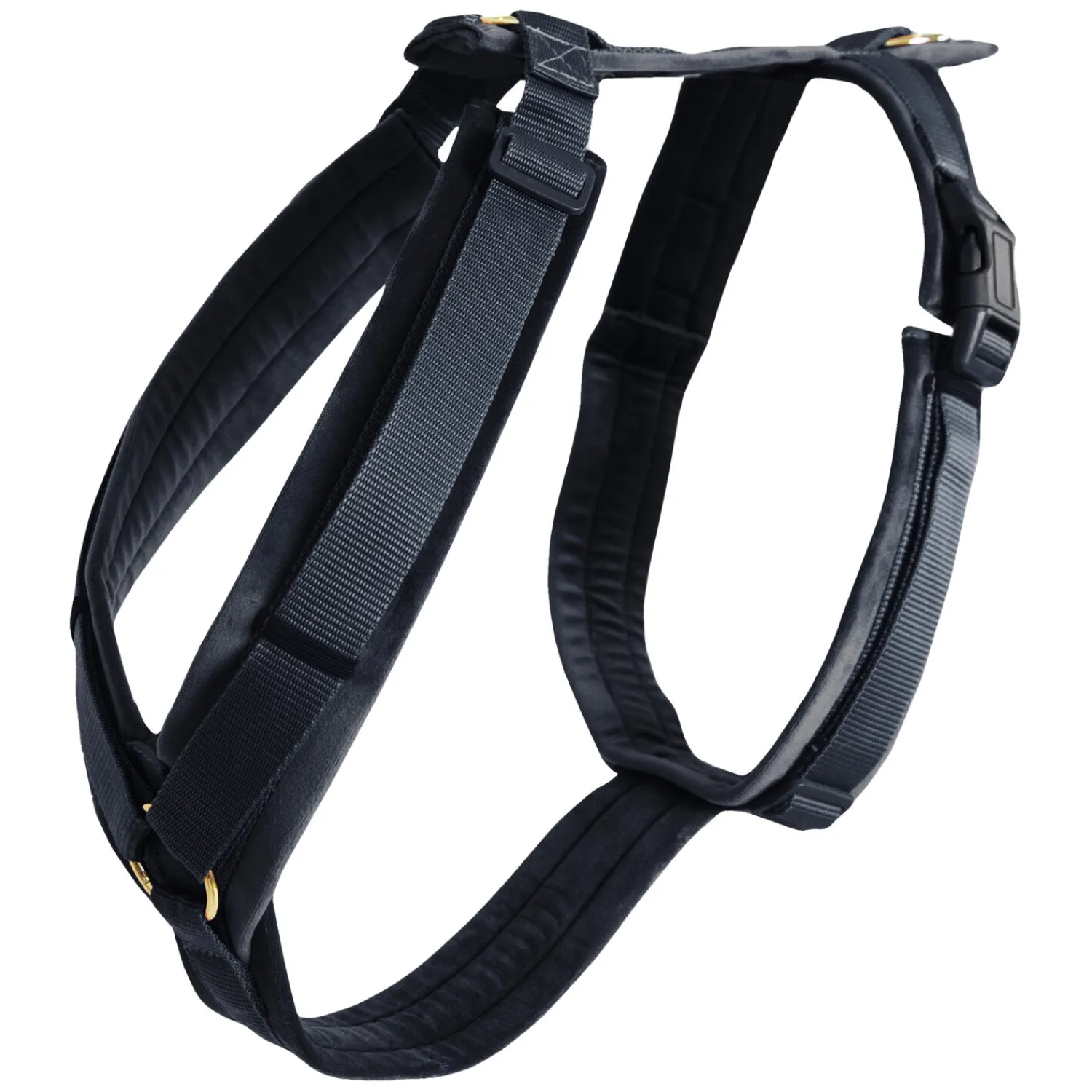 KENTUCKY Dogwear Hundegeschirre<Hundegechirr Activ Vevet