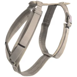 KENTUCKY Dogwear Hundegeschirre<Hundegechirr Activ Vevet