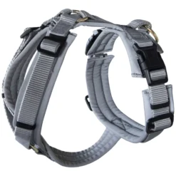 Loesdau Hundegeschirre<KENTUCKY Dogwear Hundegeschirr Active