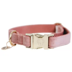 KENTUCKY Dogwear Hundehalsbänder<Hundehaband Vevet