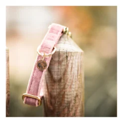 KENTUCKY Dogwear Hundehalsbänder<Hundehaband Vevet