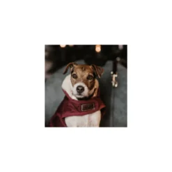 KENTUCKY Dogwear Hundemäntel<Hundeante Origina