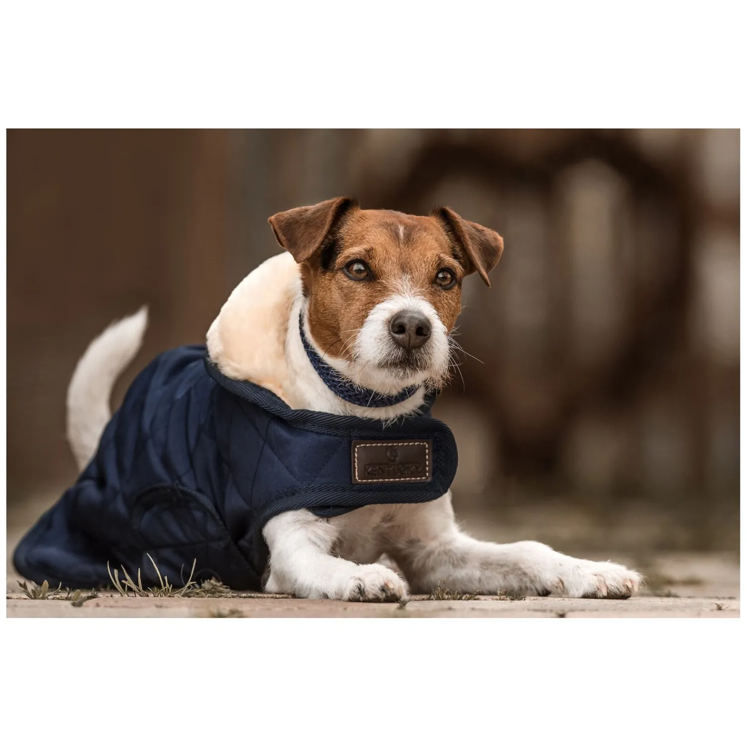 KENTUCKY Dogwear Hundemäntel<Hundeante Origina