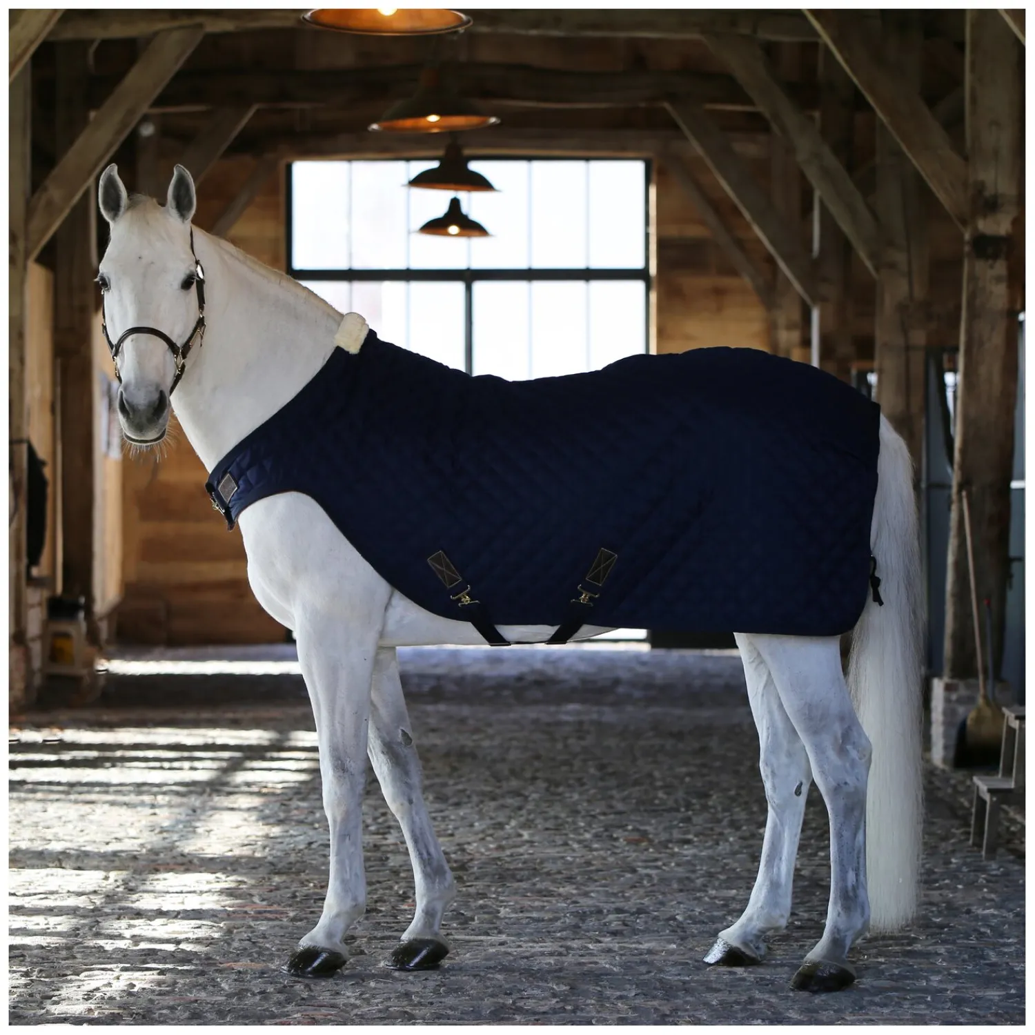 KENTUCKY Pferdedecken<Führanlagendecke Walker Rug 160 g