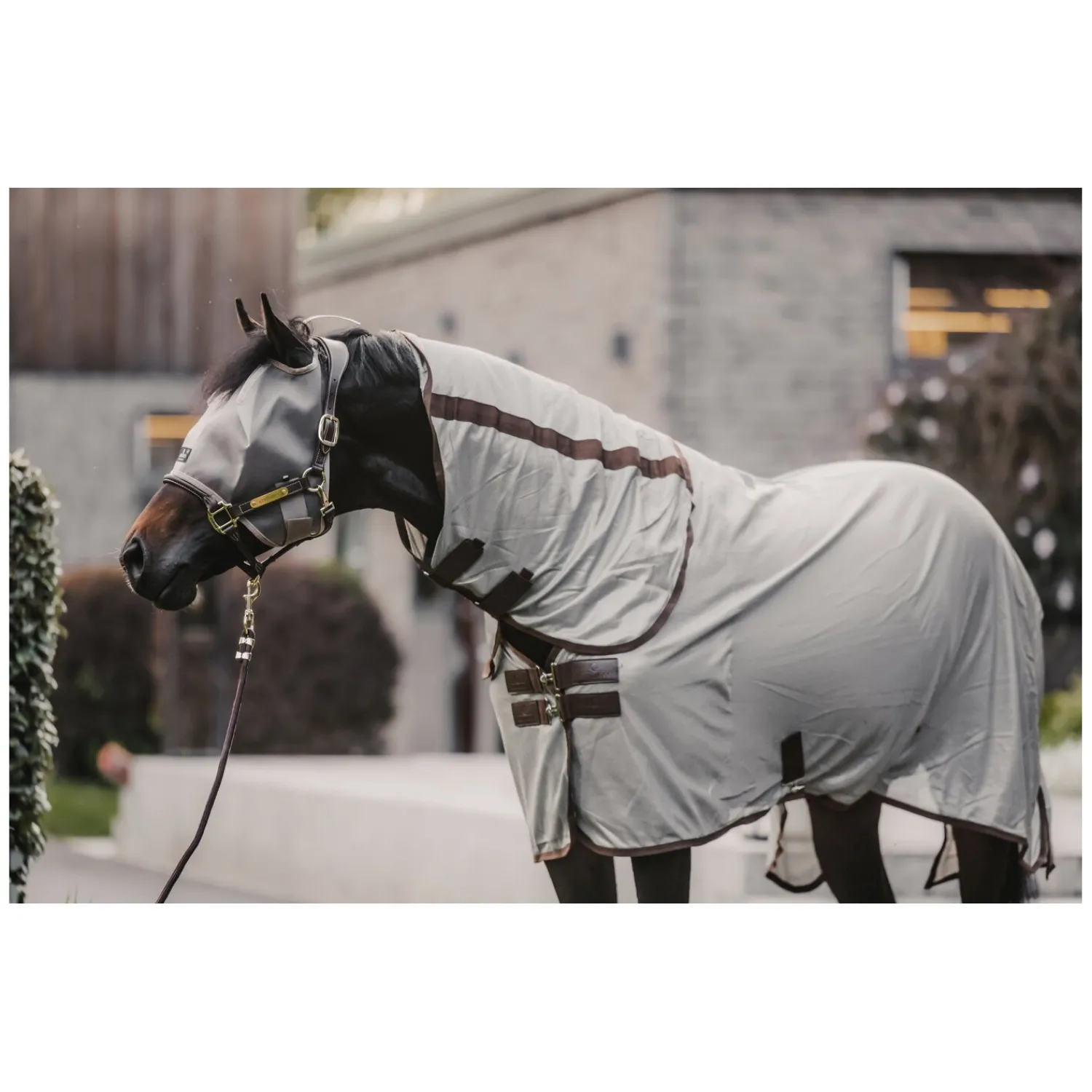 KENTUCKY Fliegendecken|Pferdedecken<Fliegendecke Mesh Classic