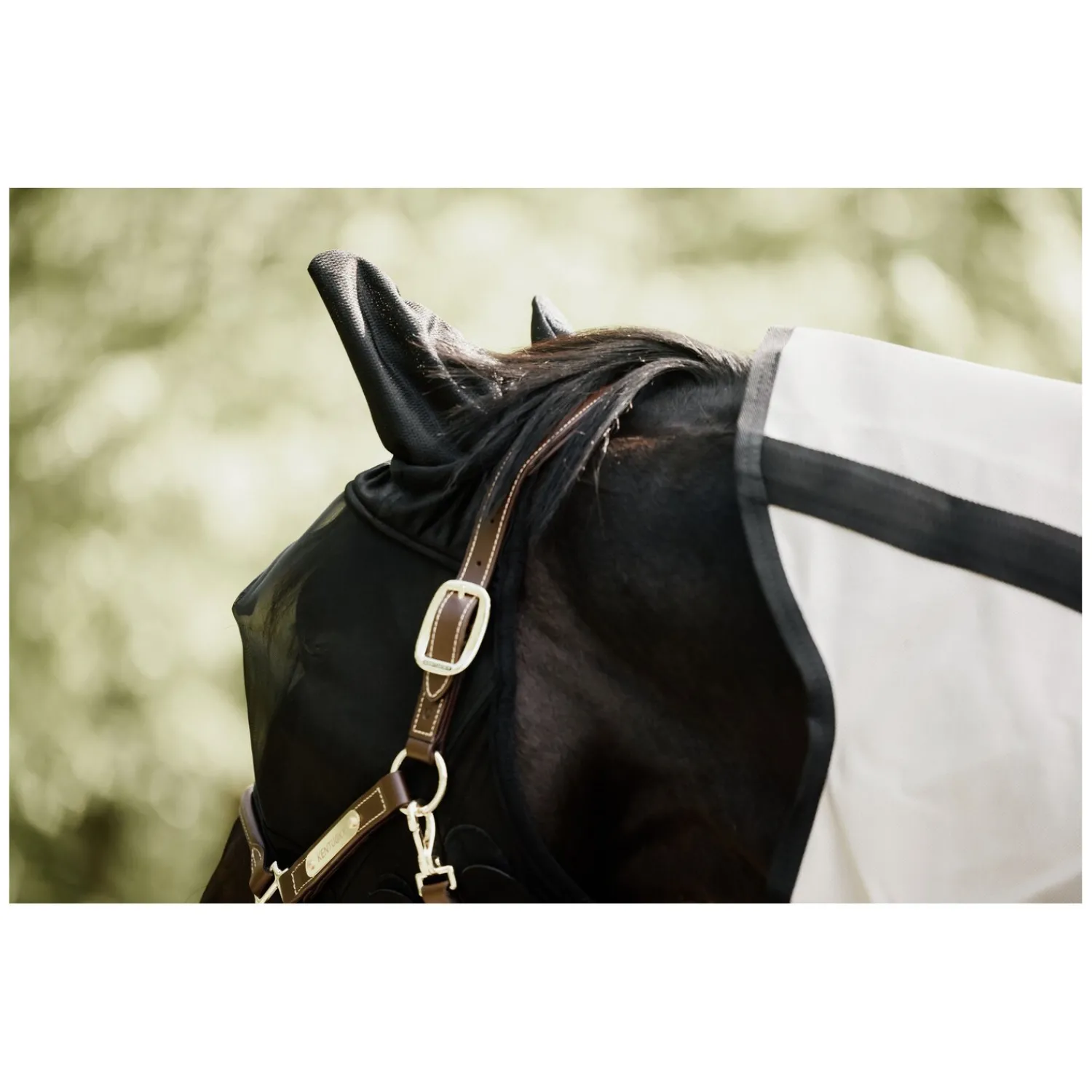 KENTUCKY Fliegenmasken<Fliegenmaske Classic mit Ohren