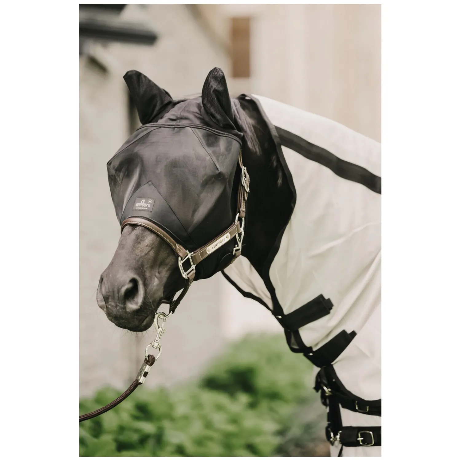 KENTUCKY Fliegenmasken<Fliegenmaske Classic mit Ohren
