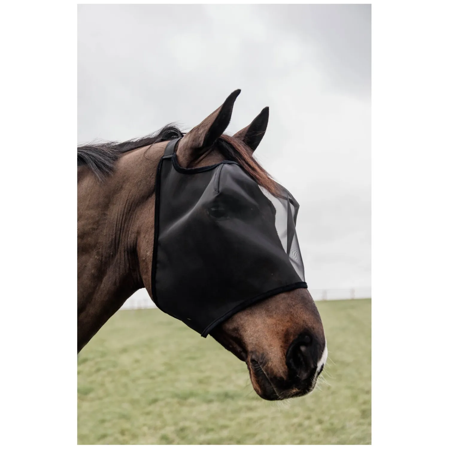 KENTUCKY Fliegenmasken<Fliegenmaske Classic ohne Ohren
