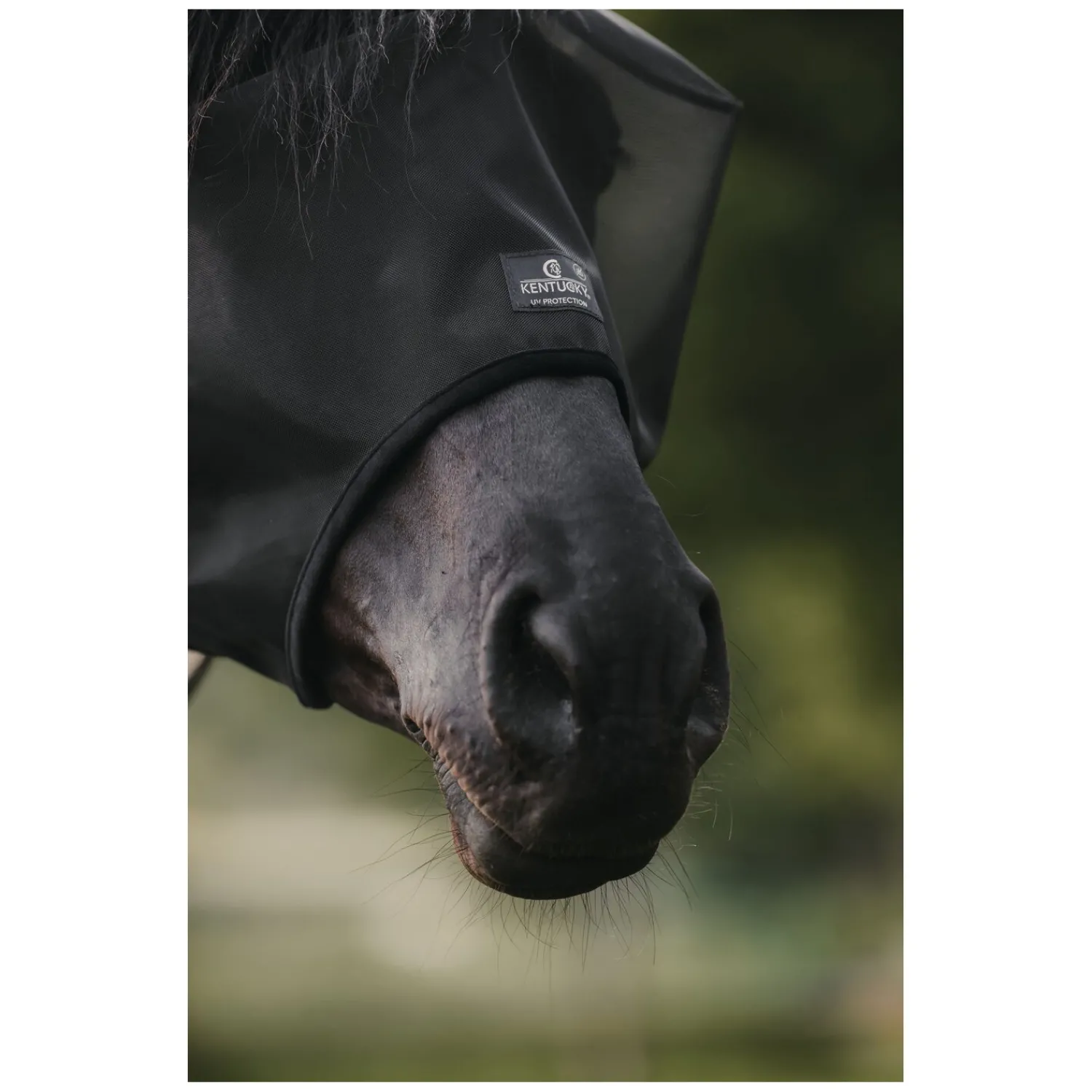 KENTUCKY Fliegenmasken<Fliegenmaske Classic ohne Ohren