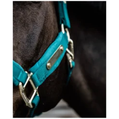 KENTUCKY Halfter<Halfter Velvet