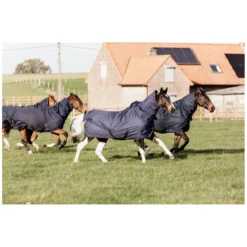 KENTUCKY Pferdedecken<Outdoordecke All Weather Quick Dry Fleece