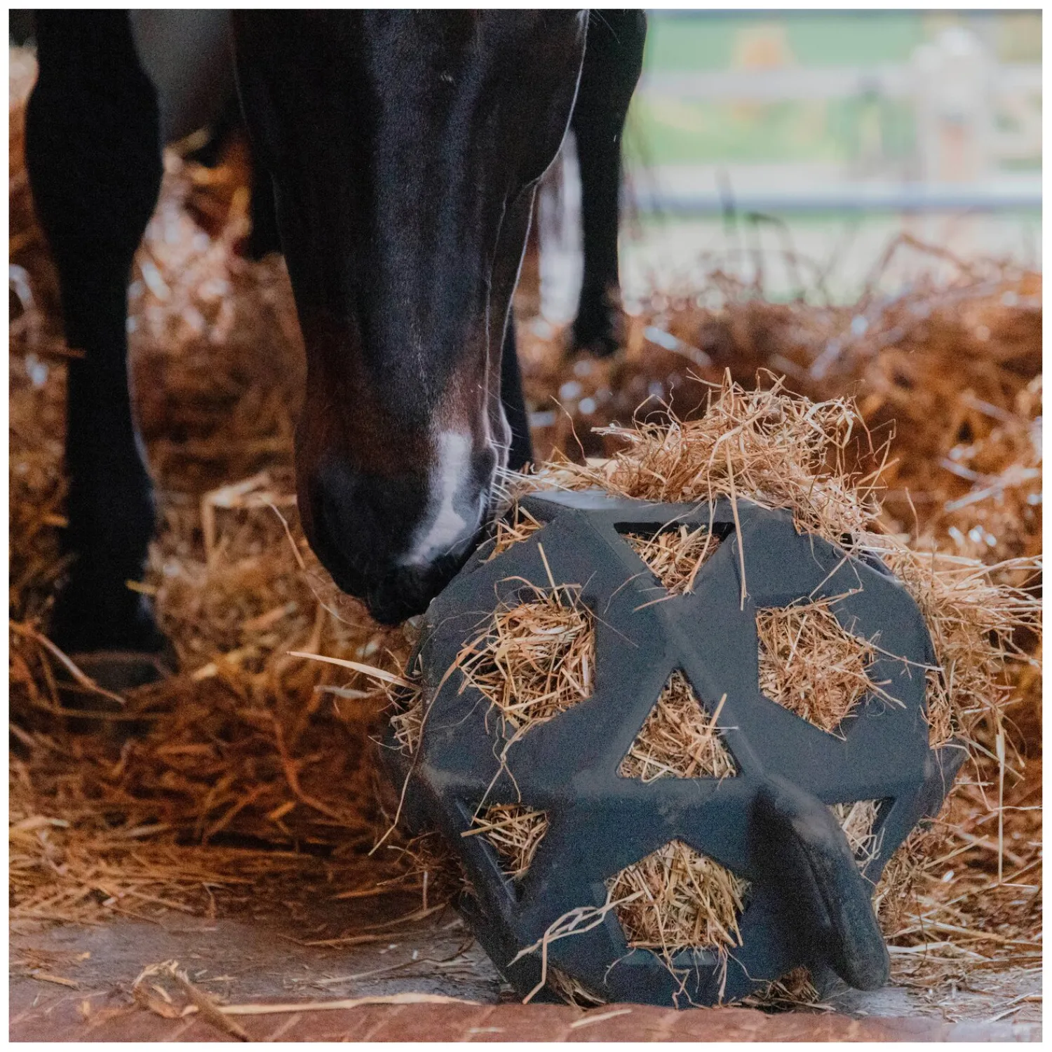 Loesdau Geschenke Für Reiter|Pferdespielzeug<KENTUCKY Relax Pferde Spiel & Heuball