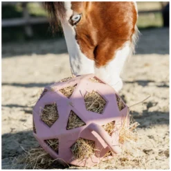 Loesdau Geschenke Für Reiter|Pferdespielzeug<KENTUCKY Relax Pferde Spiel & Heuball