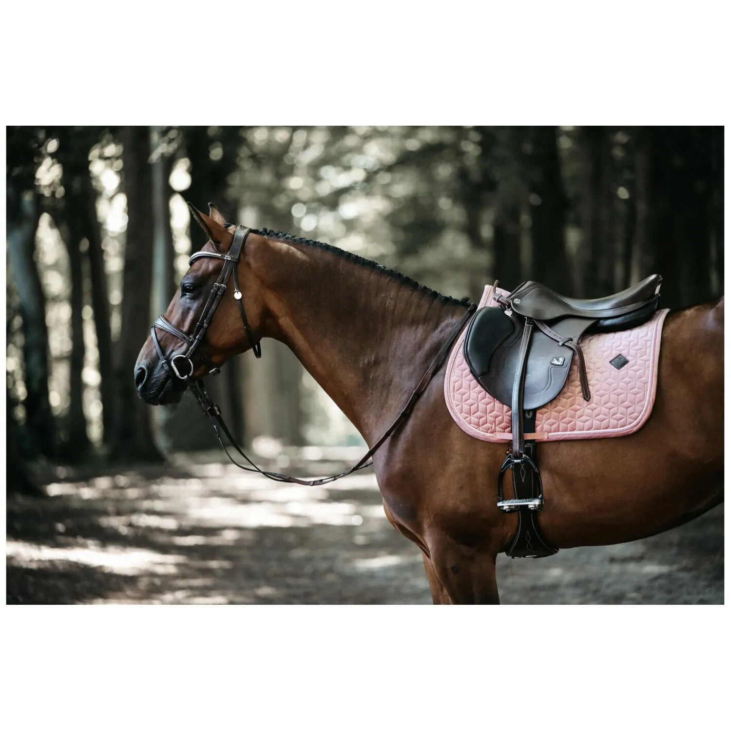 KENTUCKY Sättel & Zubehör|Geschenke Für Reiter<Schabracke Samt