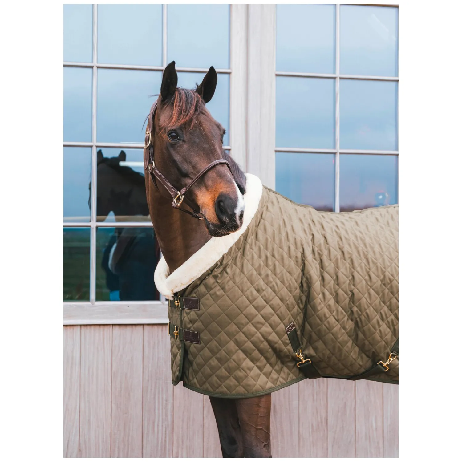 KENTUCKY Geschenke Für Reiter|Pferdedecken<Show Rug