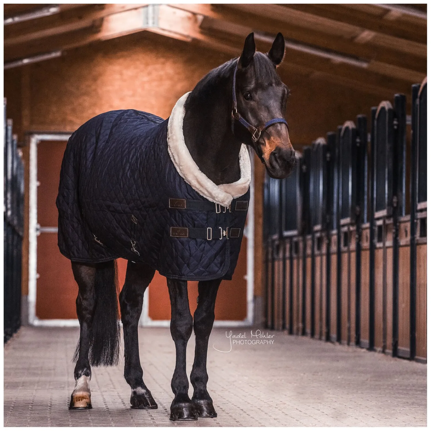 KENTUCKY Geschenke Für Reiter|Pferdedecken<Show Rug