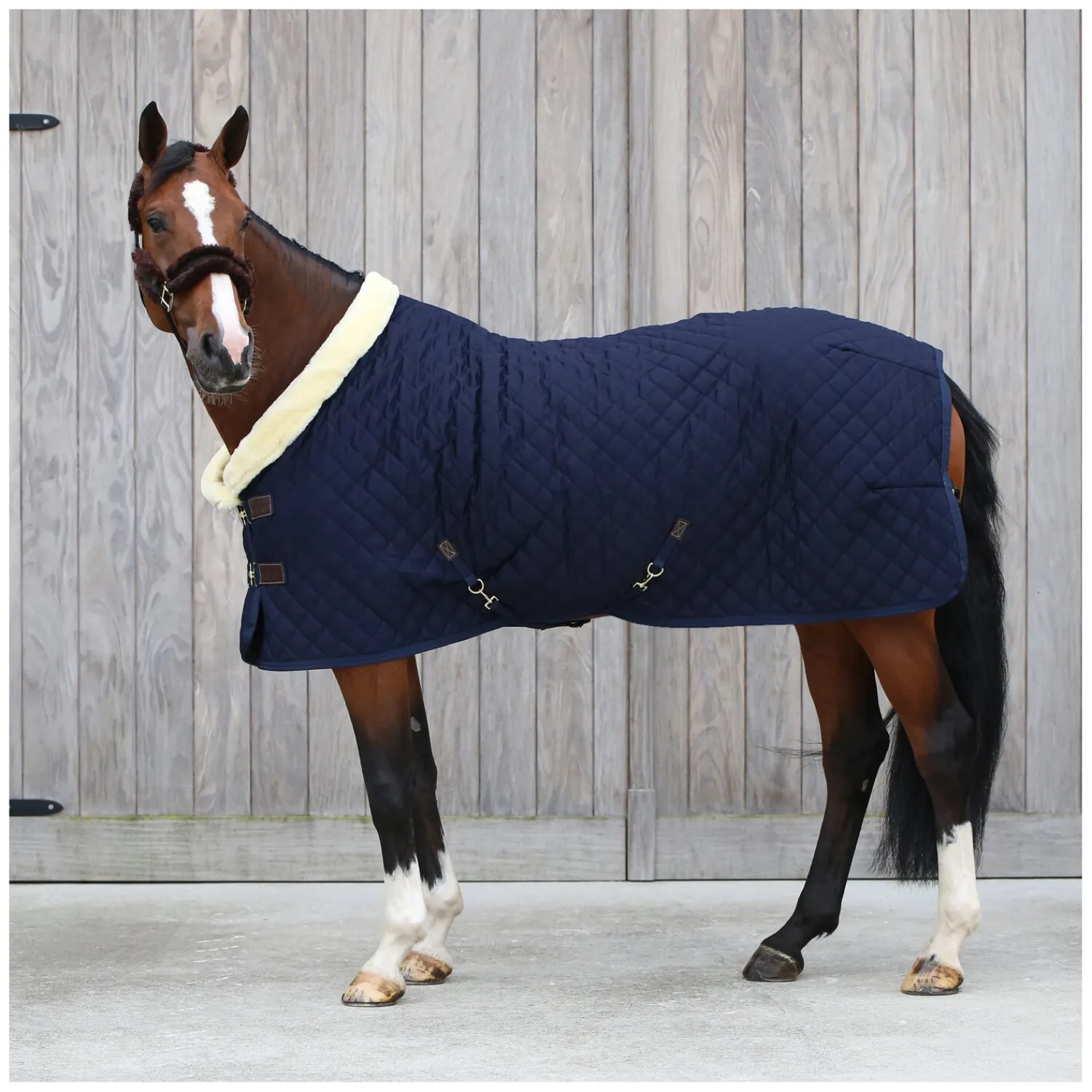 KENTUCKY Geschenke Für Reiter|Pferdedecken<Show Rug