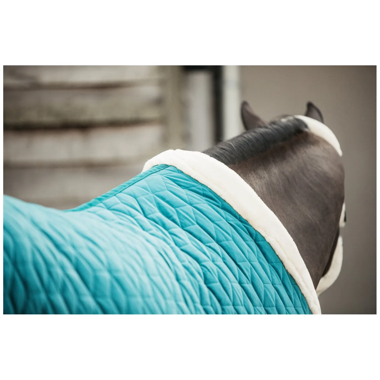 KENTUCKY Pferdedecken<Show Rug Velvet