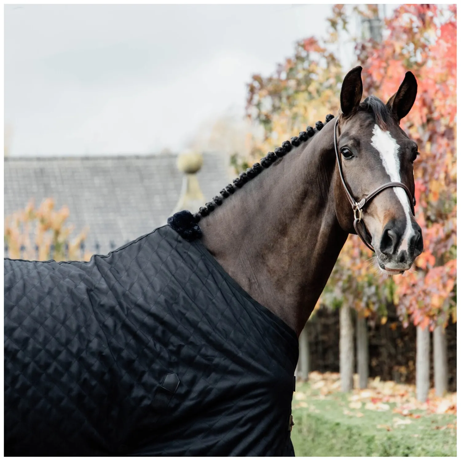 KENTUCKY Pferdedecken<Stalldecke