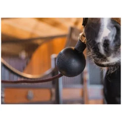 Loesdau Weiteres Stallzubehör|Führstricke<KENTUCKY Strick- und Wandschutzball