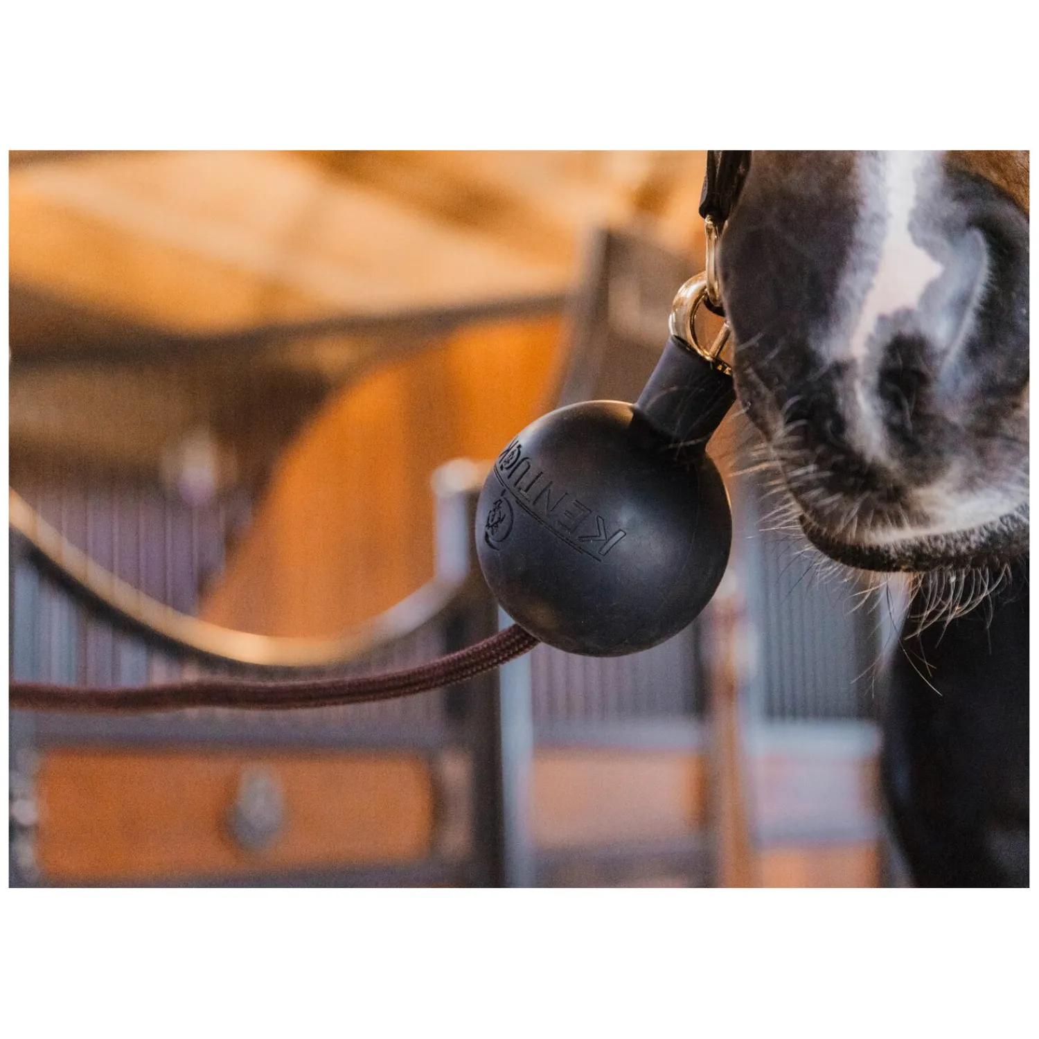 Loesdau Weiteres Stallzubehör|Führstricke<KENTUCKY Strick- und Wandschutzball