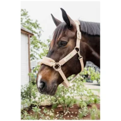 KENTUCKY Halfter<Teddyfleece-Halfter