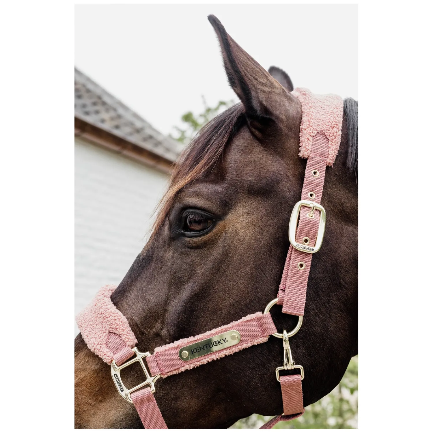 KENTUCKY Halfter<Teddyfleece-Halfter