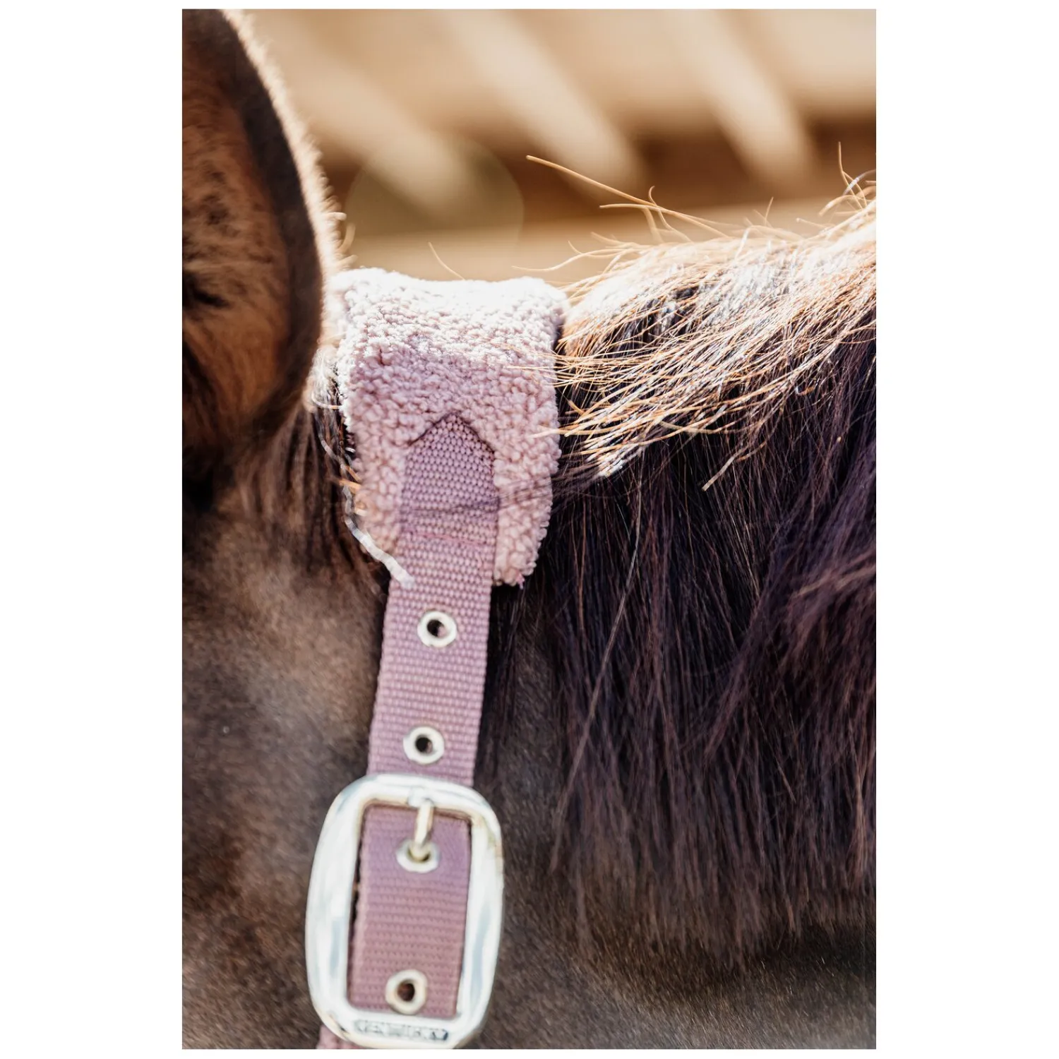 KENTUCKY Halfter<Teddyfleece-Halfter