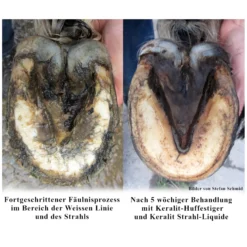 Loesdau Pferdepflege<KERALIT Strahl-Liquide