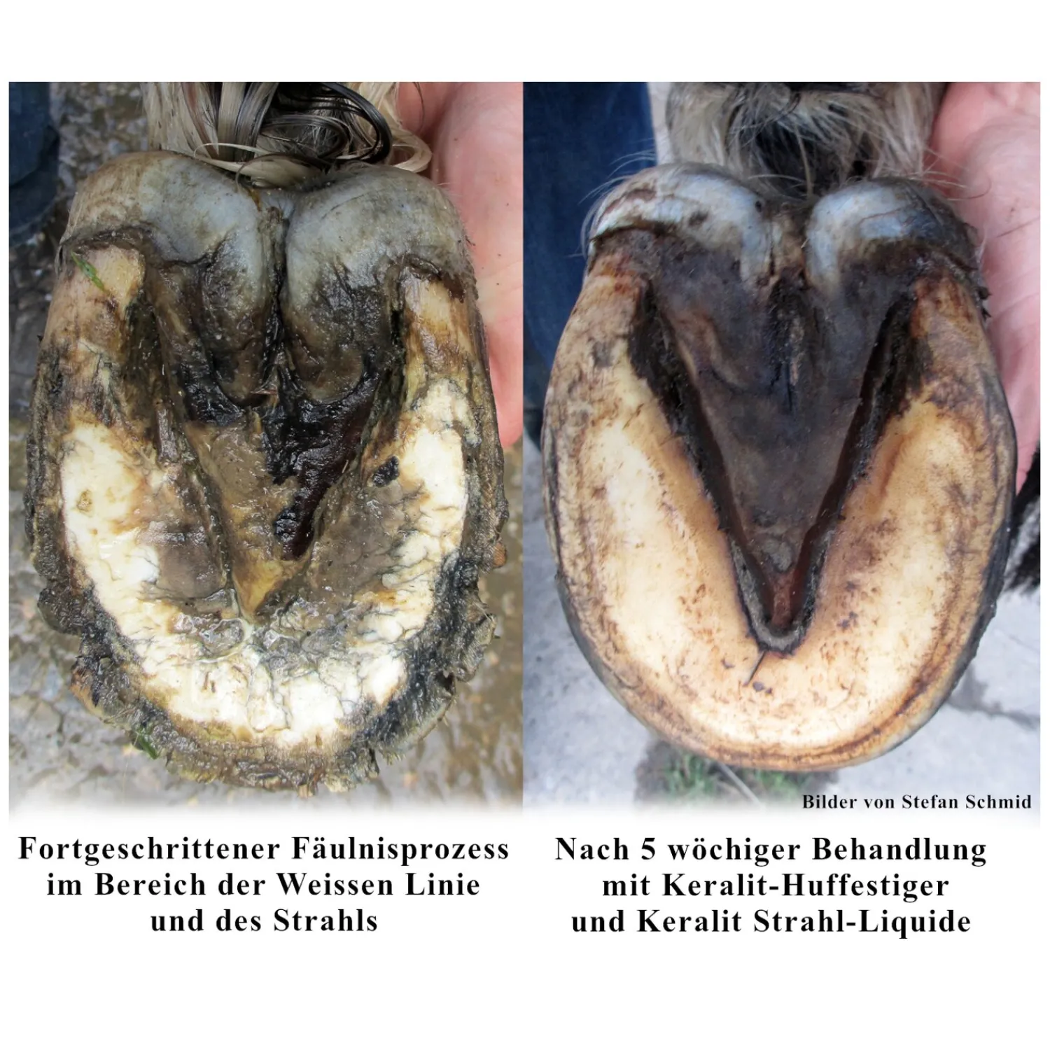 Loesdau Pferdepflege<KERALIT Strahl-Liquide