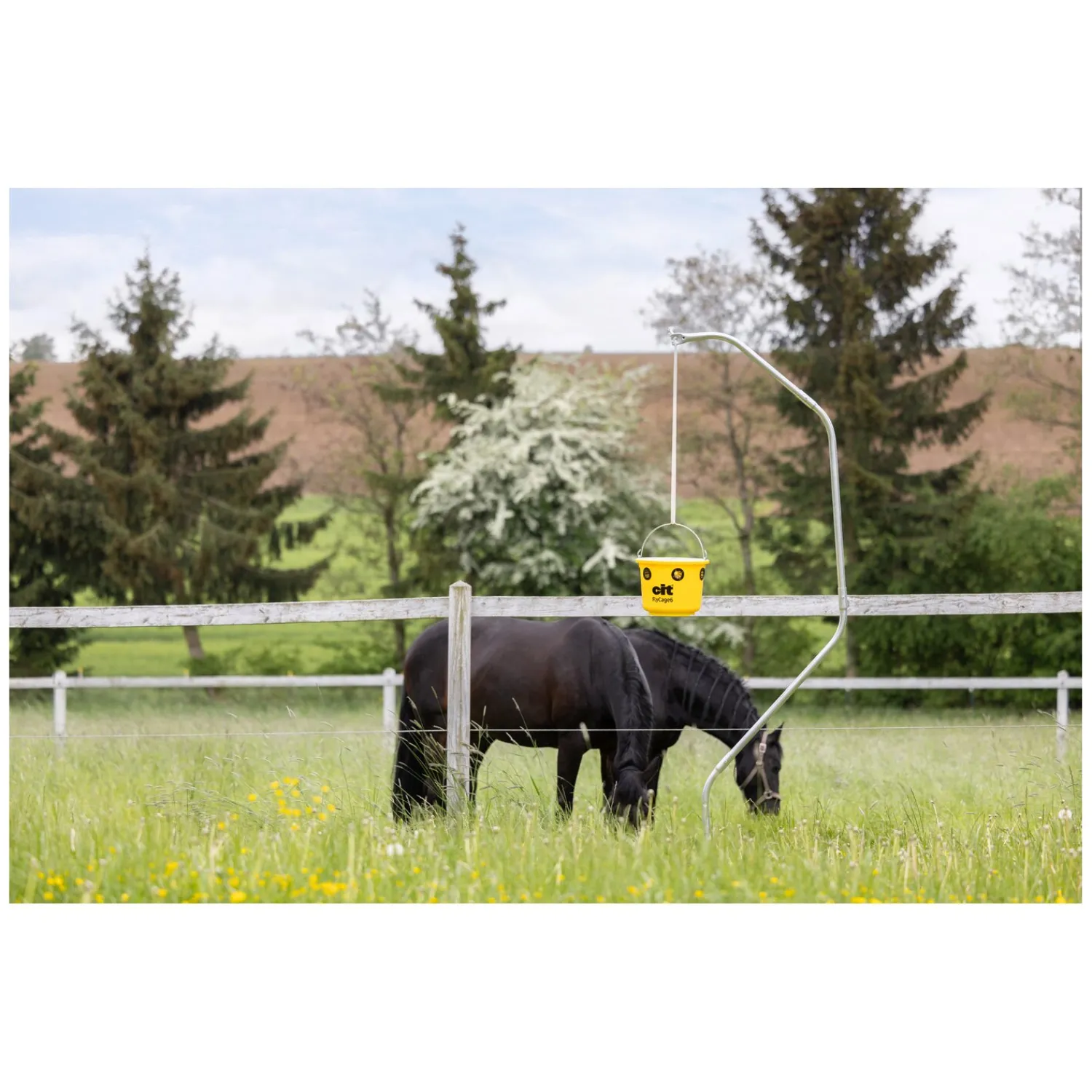 Loesdau Fliegenfallen<KERBL cit Fliegenfalle FlyCage6