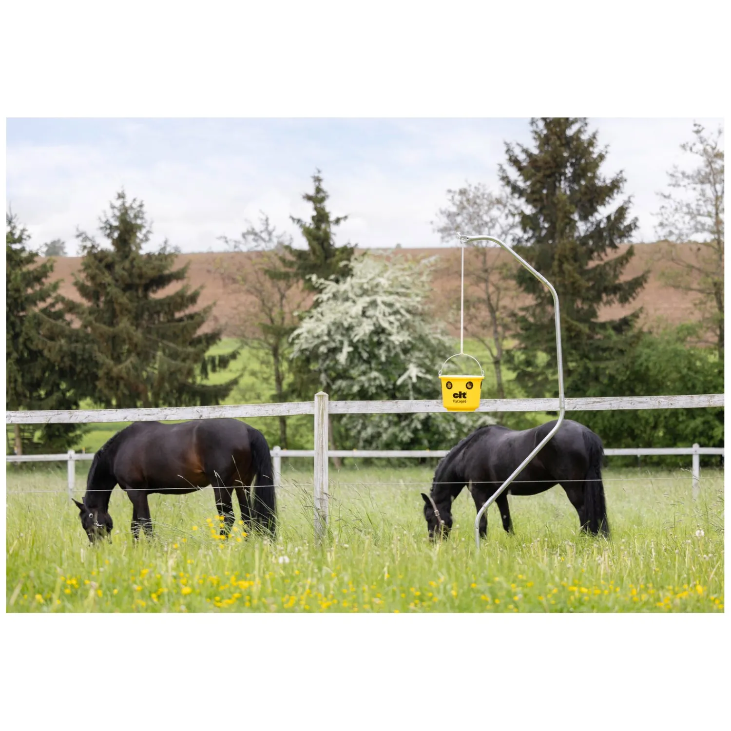 Loesdau Fliegenfallen<KERBL cit Fliegenfalle FlyCage6